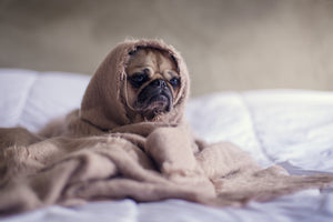 6 Daily Life Hacks to Break Anxiety Loops